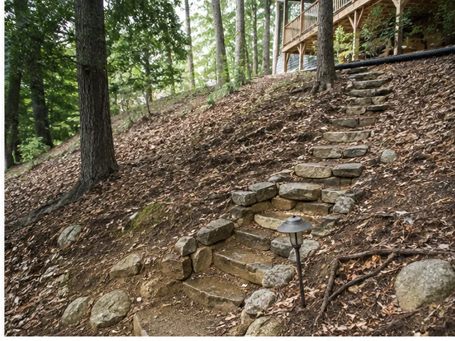 Wooded residential slope with stone steps and exposed grade conditions.